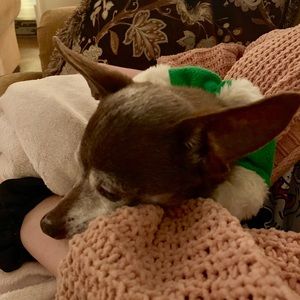 Meet your Posher, Leah